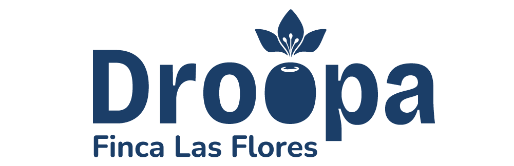 Mi tienda